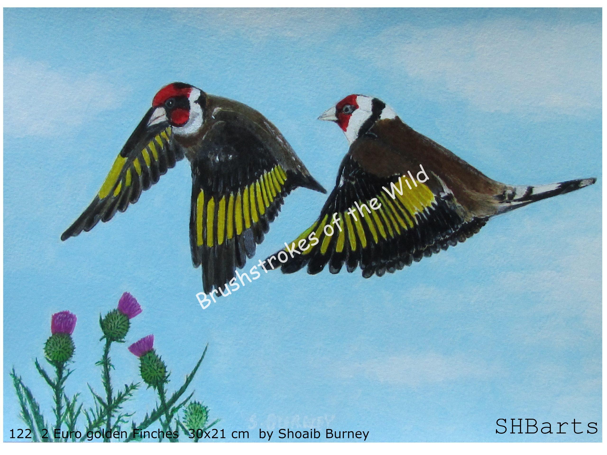 2 Euro Finches