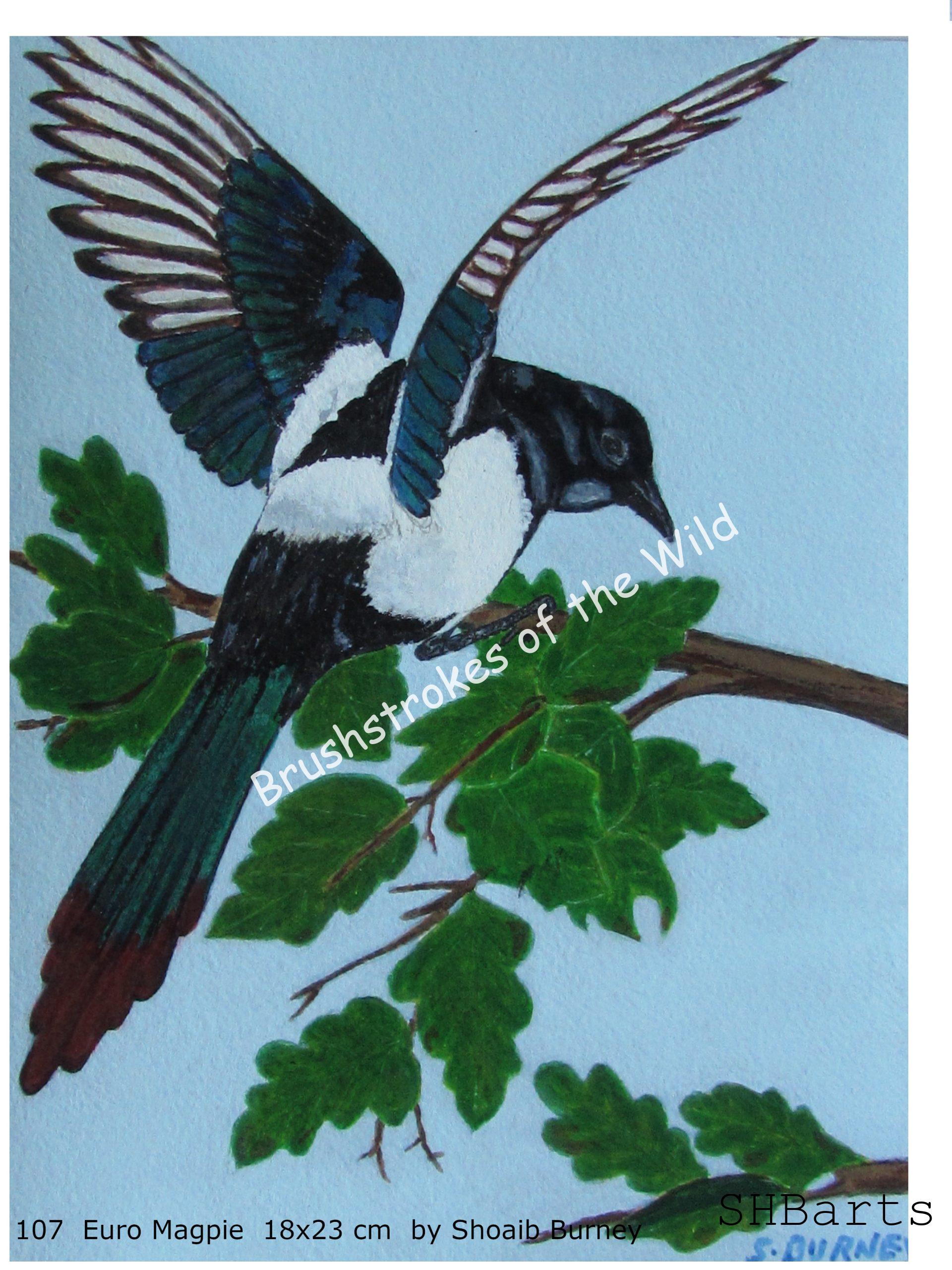 Euro Magpie