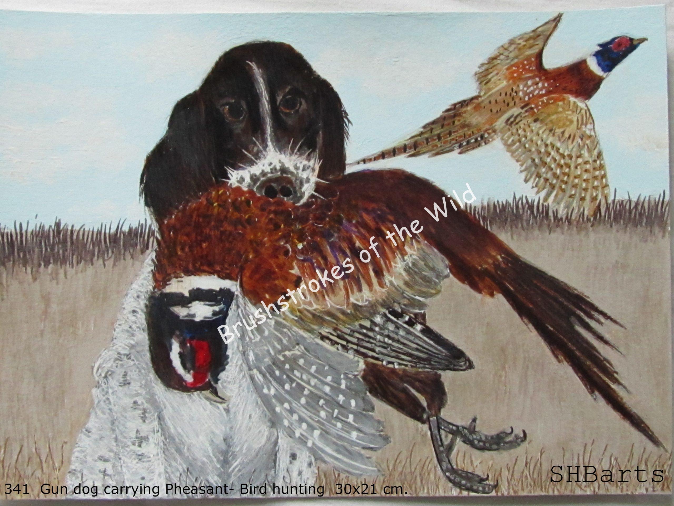Gun dog Carrying Pheasant